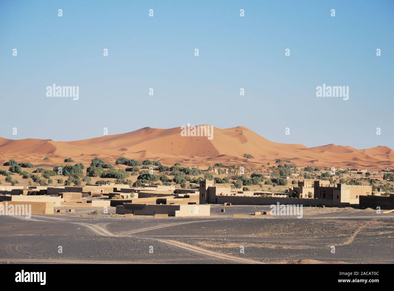 Zone de transition de désert de pierre, le village, la végétation et dune de sable, Erg Chebbi, Maroc, Afrique Banque D'Images