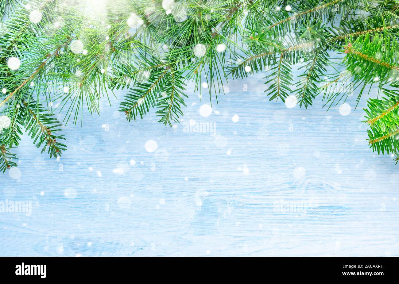 Fond de Noël avec des branches de pins sur le sol en bois Banque D'Images Fond de Noël avec des branches de pins sur le sol en bois Banque D'Images