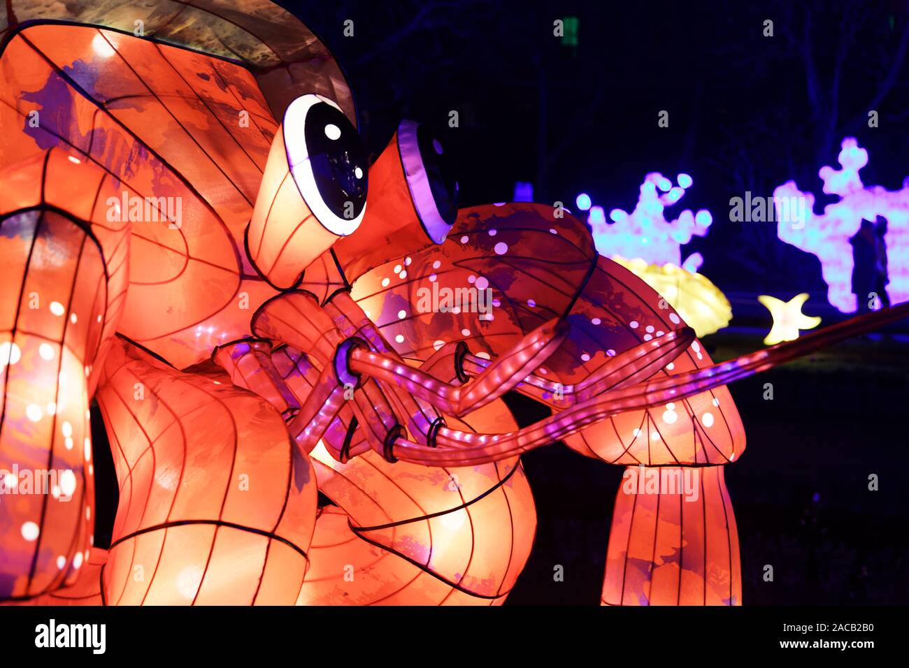 Paris, France. 1er décembre 2019. 'Océan sur la voie de l'Illumination", festival des lumières du Jardin des Plantes à Paris, France. Banque D'Images