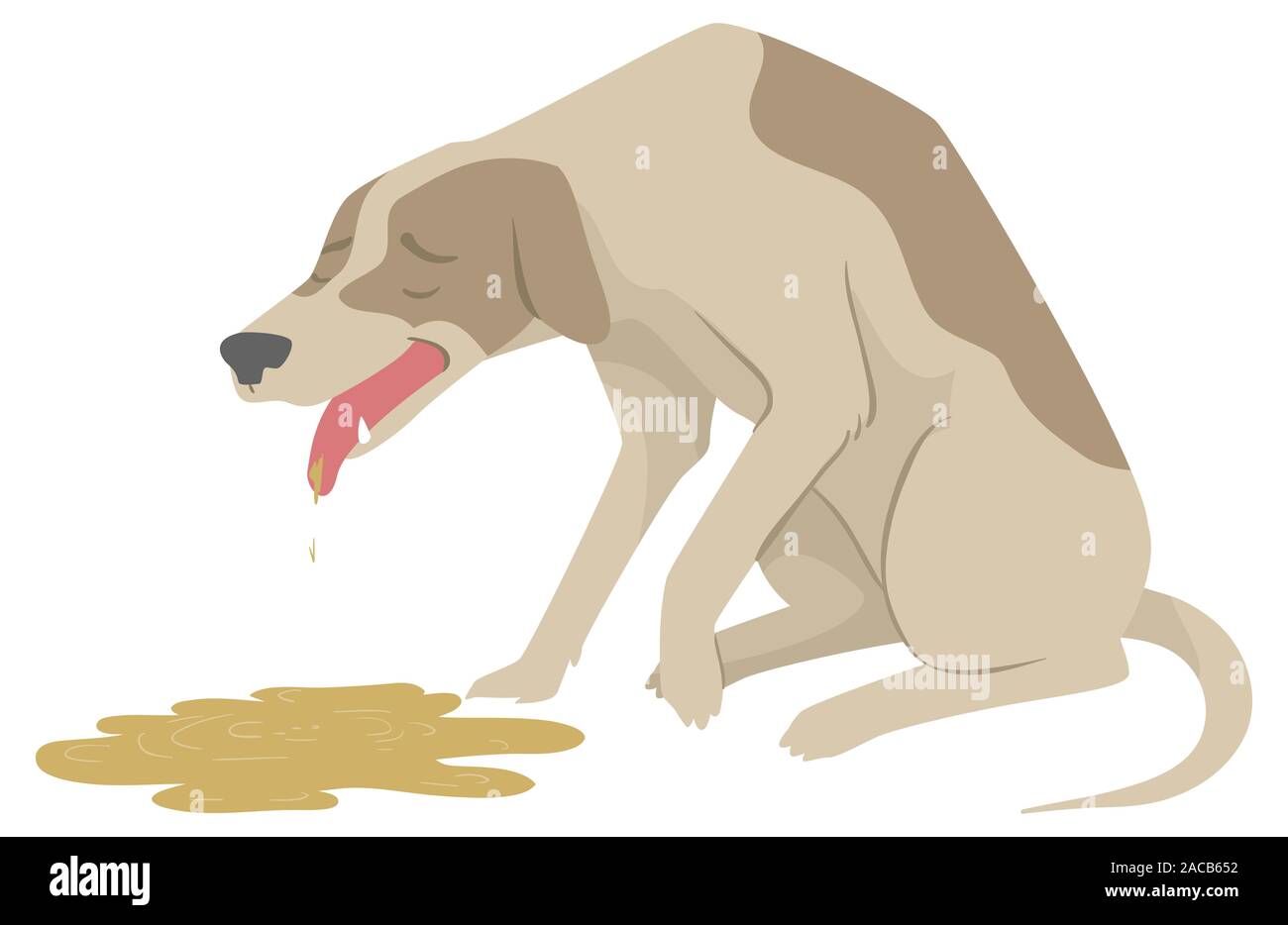 Illustration d'un chien d'animal familier de malades et mourants et vomissements Banque D'Images