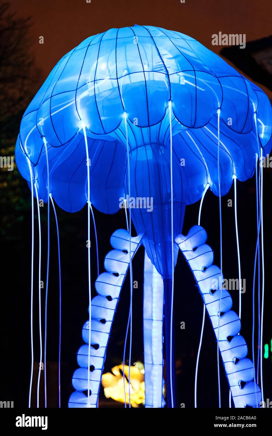 Paris, France. 1er décembre 2019. 'Océan sur la voie de l'Illumination", festival des lumières du Jardin des Plantes à Paris, France. Banque D'Images