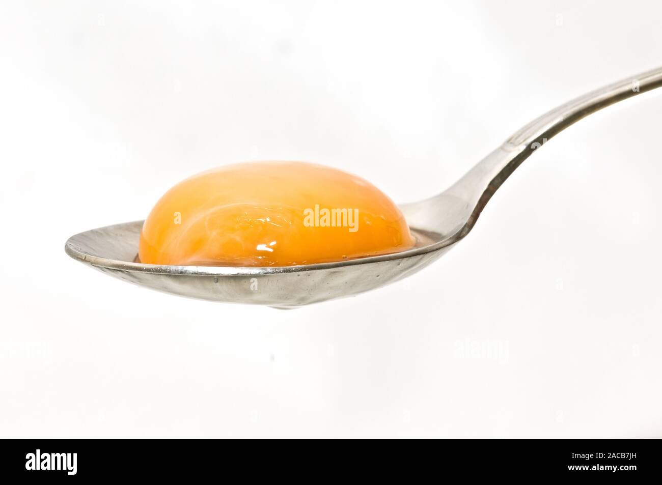 oeufs frais Banque D'Images