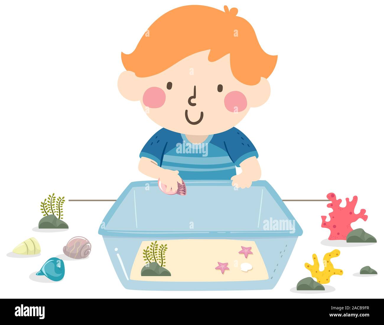 Illustration d'un enfant garçon construit son propre aquarium, placer du sable, coquillages et plantes Banque D'Images