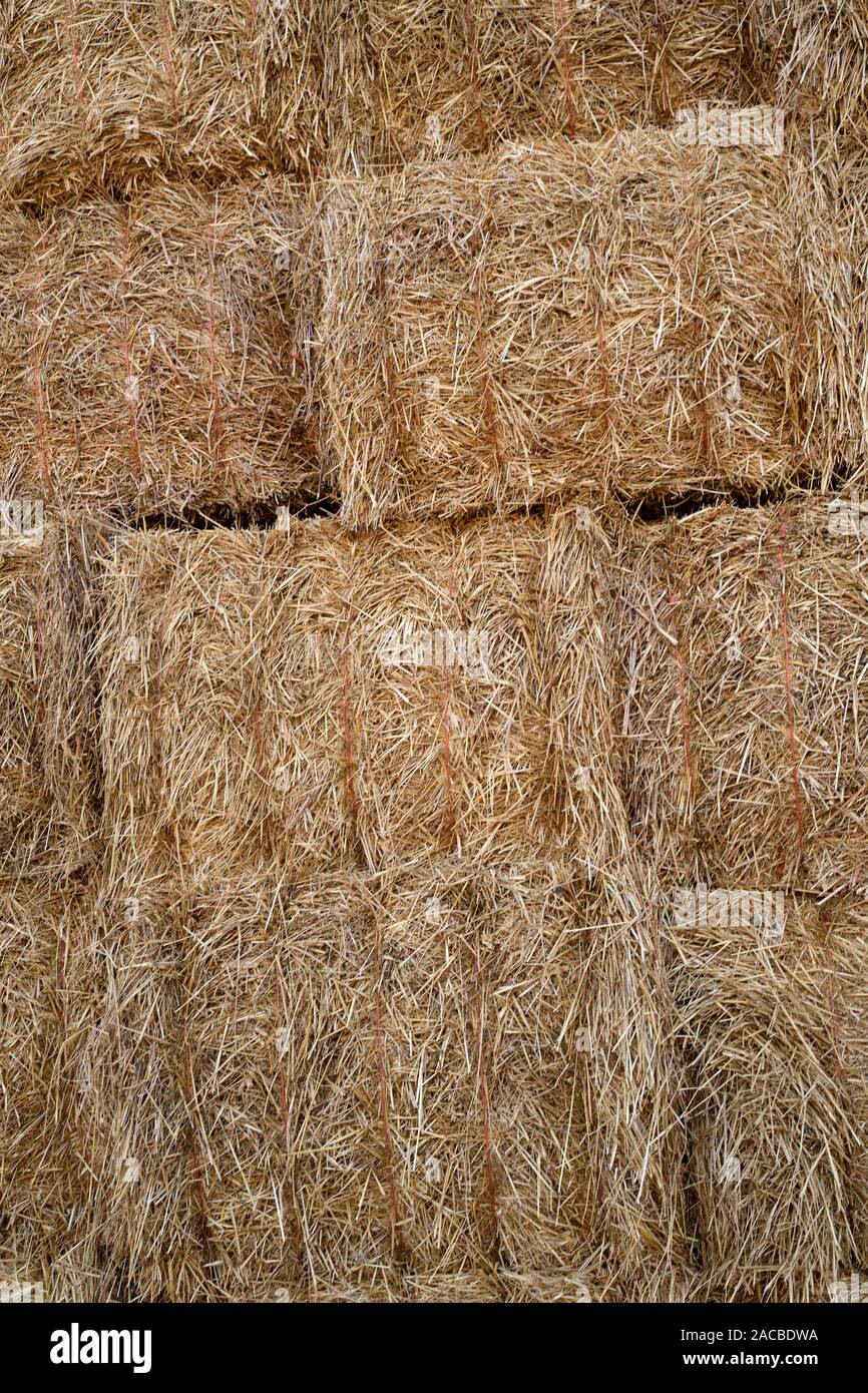 Balles de foin récolté empilés sur un fond ferme - agriculture Banque D'Images