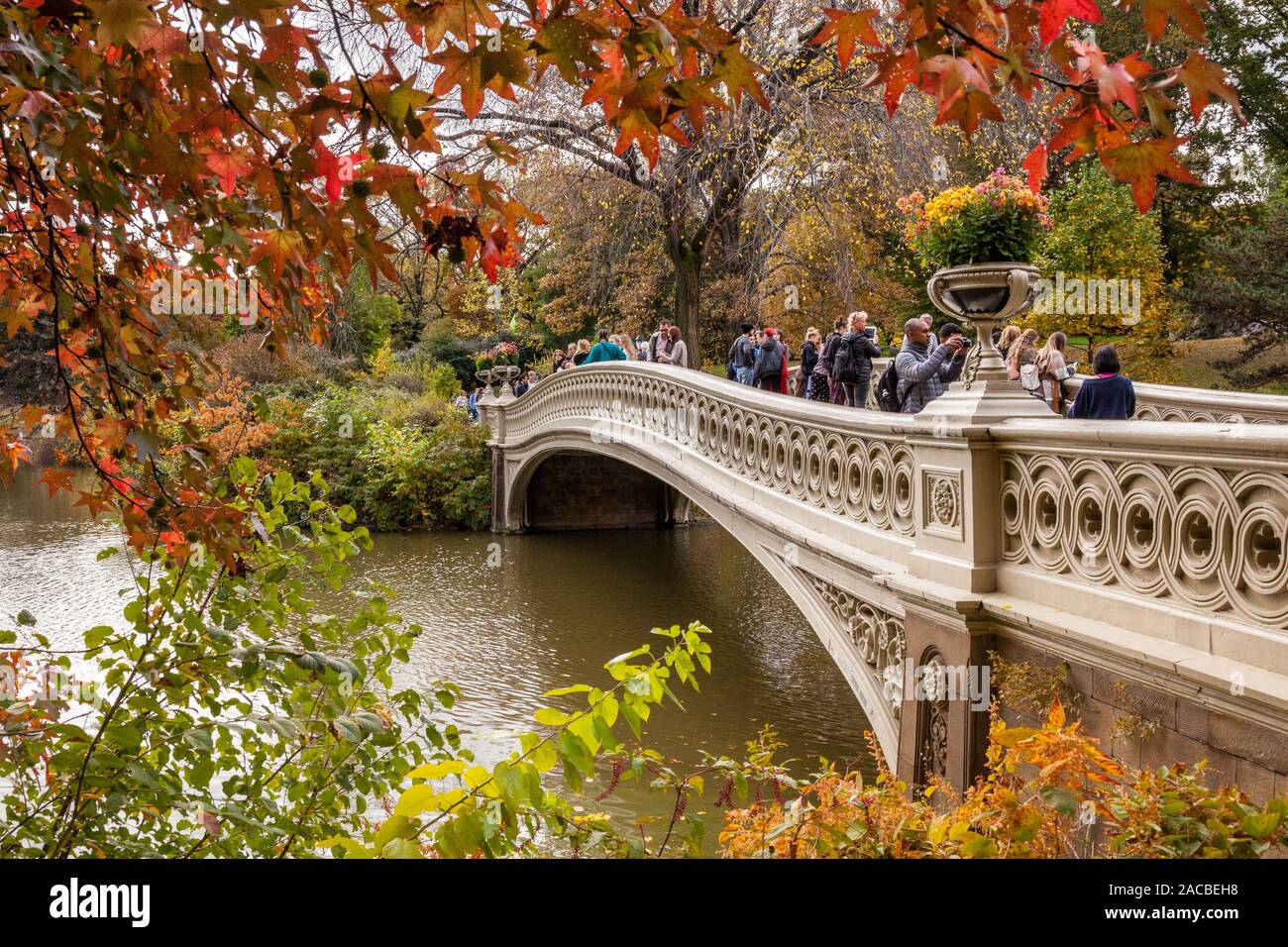 Pont de l'arc à l'automne, Central Park, New York City, États-Unis d'Amérique. Banque D'Images