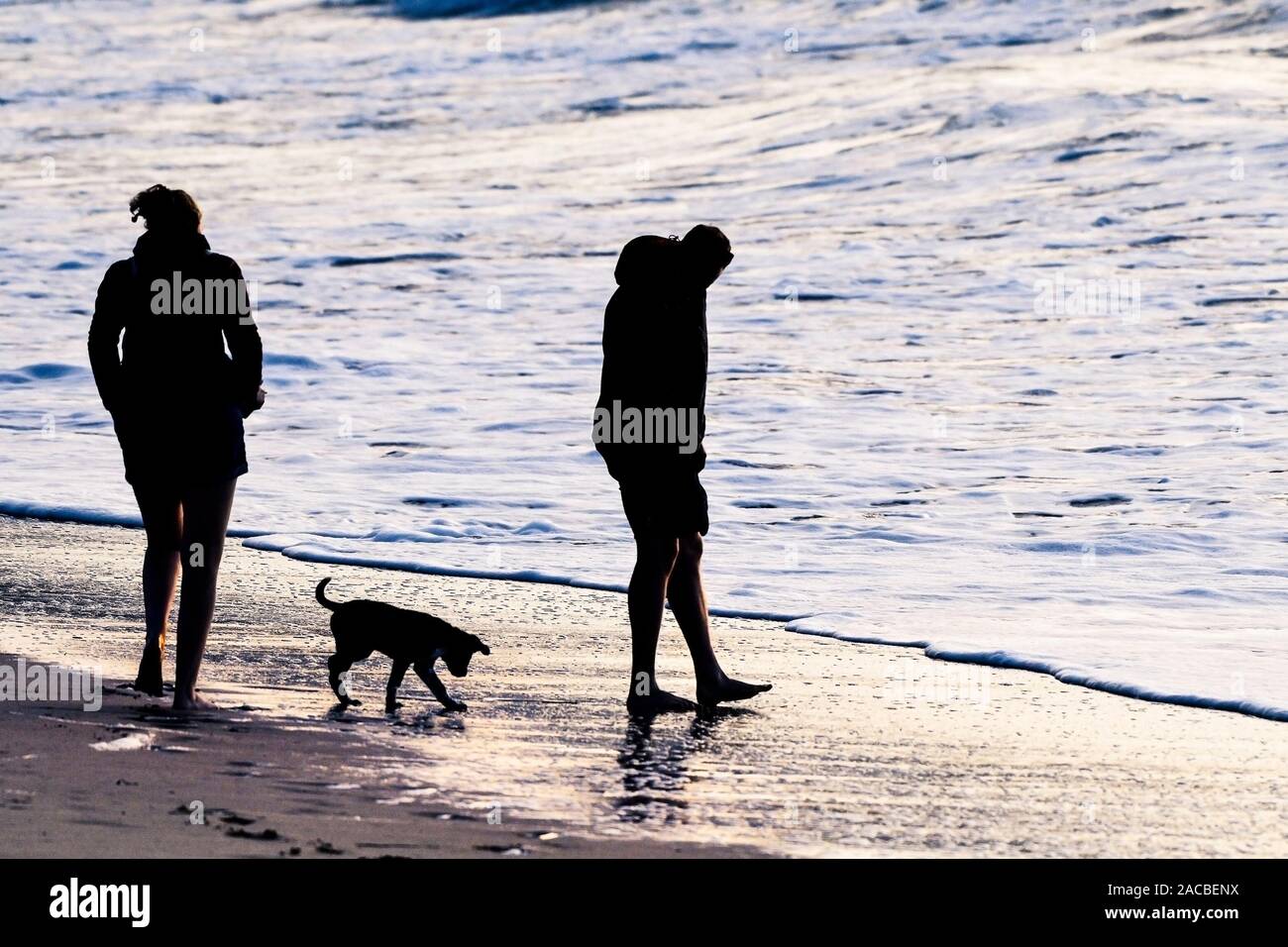 Deux personnes et leur chiot marche sur la plage de Fistral Newquay en Cornouailles. Banque D'Images