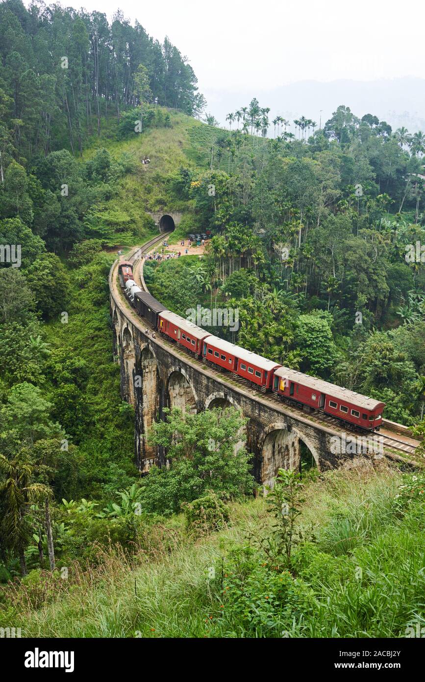 Un train passe neuf Arches dans Ella, Sri Lanka Banque D'Images