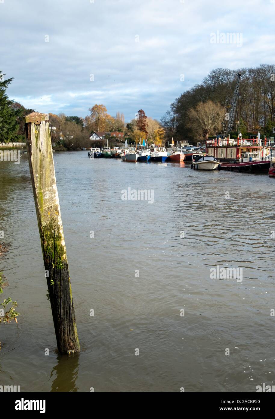 La Tamise entre Richmond et Twickenham, à l'ouest de Londres au Royaume-Uni. Photographié à partir de la rive du fleuve sur une claire journée d'hiver. Banque D'Images