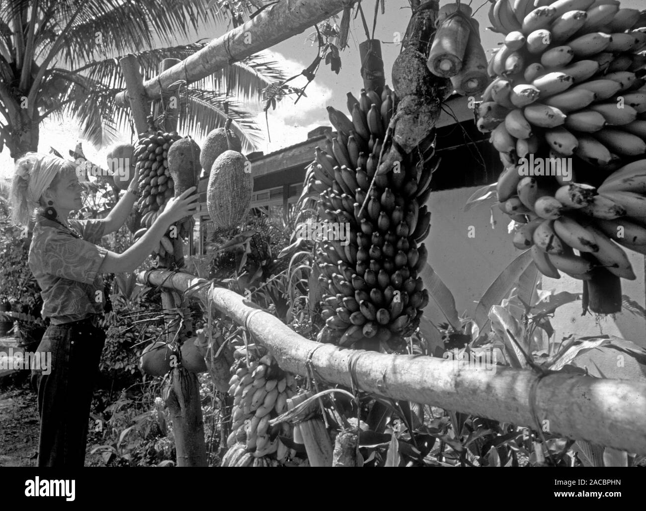 Une femme d'agriculteurs de fruits et légumes sur l'île de Bora Bora Banque D'Images
