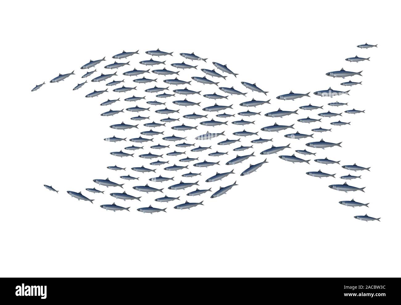 Sardines groupe devenir gros poisson, concept l'union fait la force, 3d illustration Banque D'Images