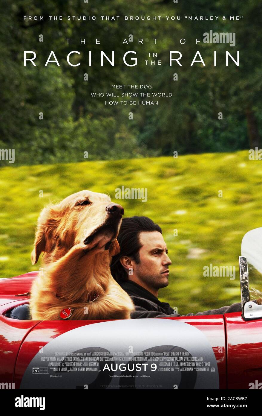 L'ART DE LA COURSE SOUS LA PLUIE (2019), réalisé par SIMON CURTIS. Credit : FOX 2000 PICTURES / Album Banque D'Images