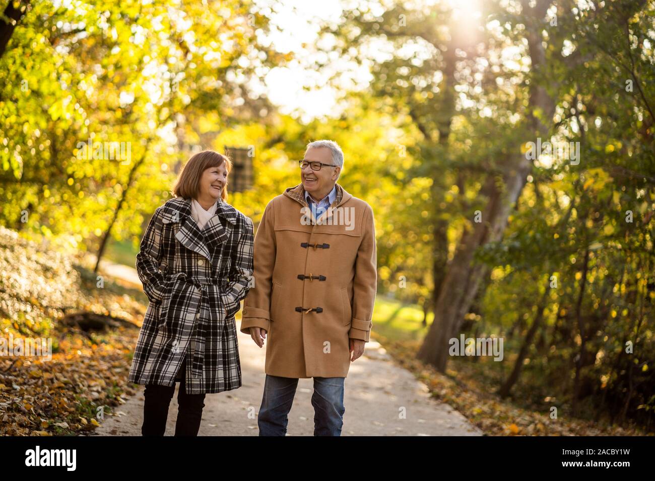 Happy senior couple marche dans le parc en automne. Banque D'Images