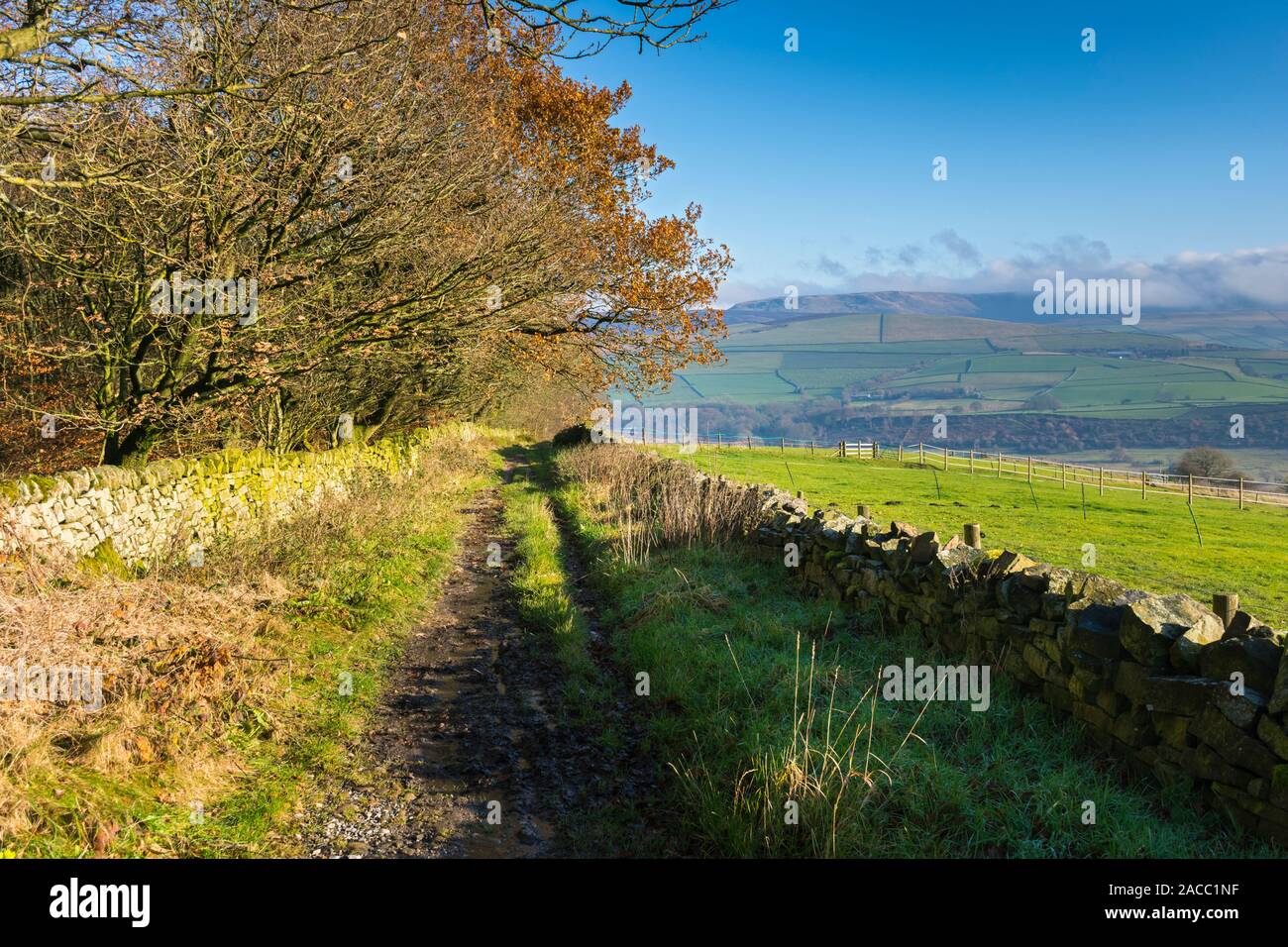 Le Kinder Scout plateau dans le Peak District, à partir d'un tracé sur le bord Broadhurst, près de New Mills, Derbyshire, Angleterre, RU Banque D'Images