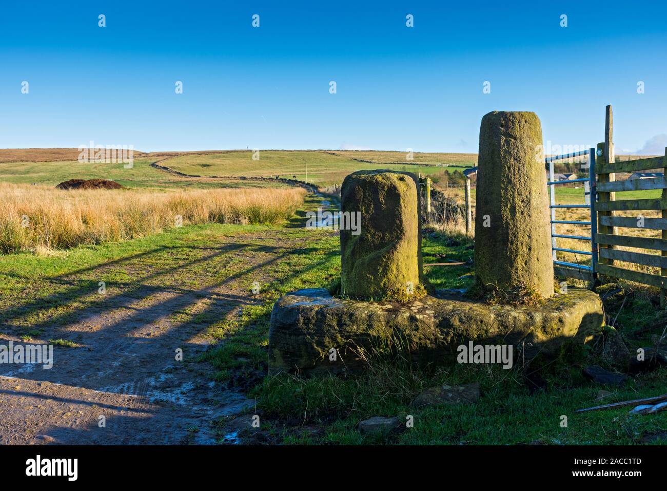 Le Robin des bois des tiges, avec bord Cown en arrière-plan. À la frontière du Derbyshire et plus Mancheater, près de Sheffield, England, UK Banque D'Images