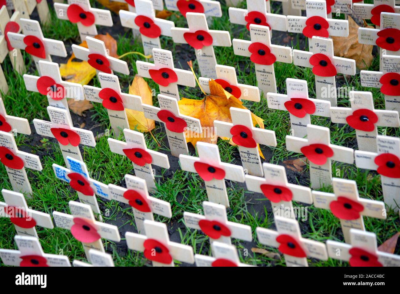 Londres, Angleterre, Royaume-Uni. Des croisements et des coquelicots dans le domaine de l'abbaye de Westminster pour Dimanche du souvenir (2019) Banque D'Images