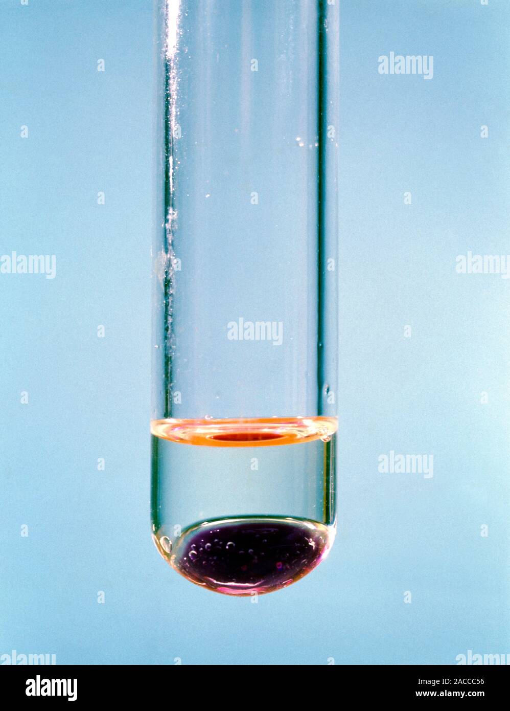 Le cyclohexène réagissant avec manganate de potassium VII (KMnO4, violet,  en bas) dans un tube à essai. Le cyclohexène (C6H10, clair) se décolorer le  KMnO4 Photo Stock - Alamy