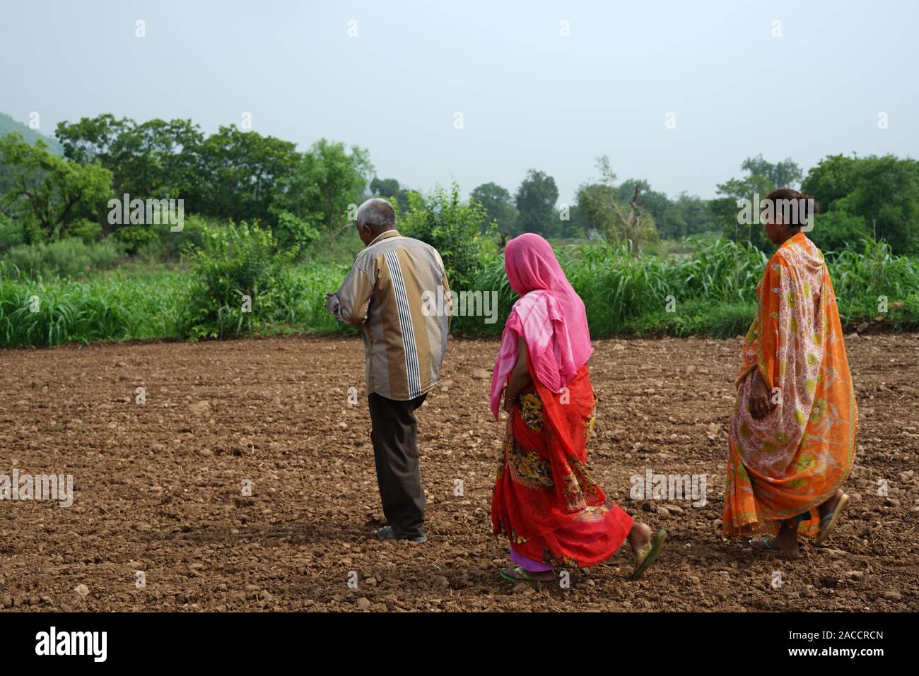 L'enregistrement des biens fonciers pour les personnes à Dholvani Sabarkantha, village, Gujarat Banque D'Images