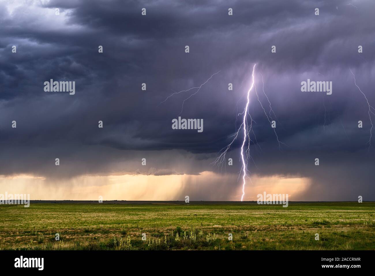 Coup de foudre nuage à terre d'un puissant orage sur un champ dans les plaines près de Texline, Texas Banque D'Images