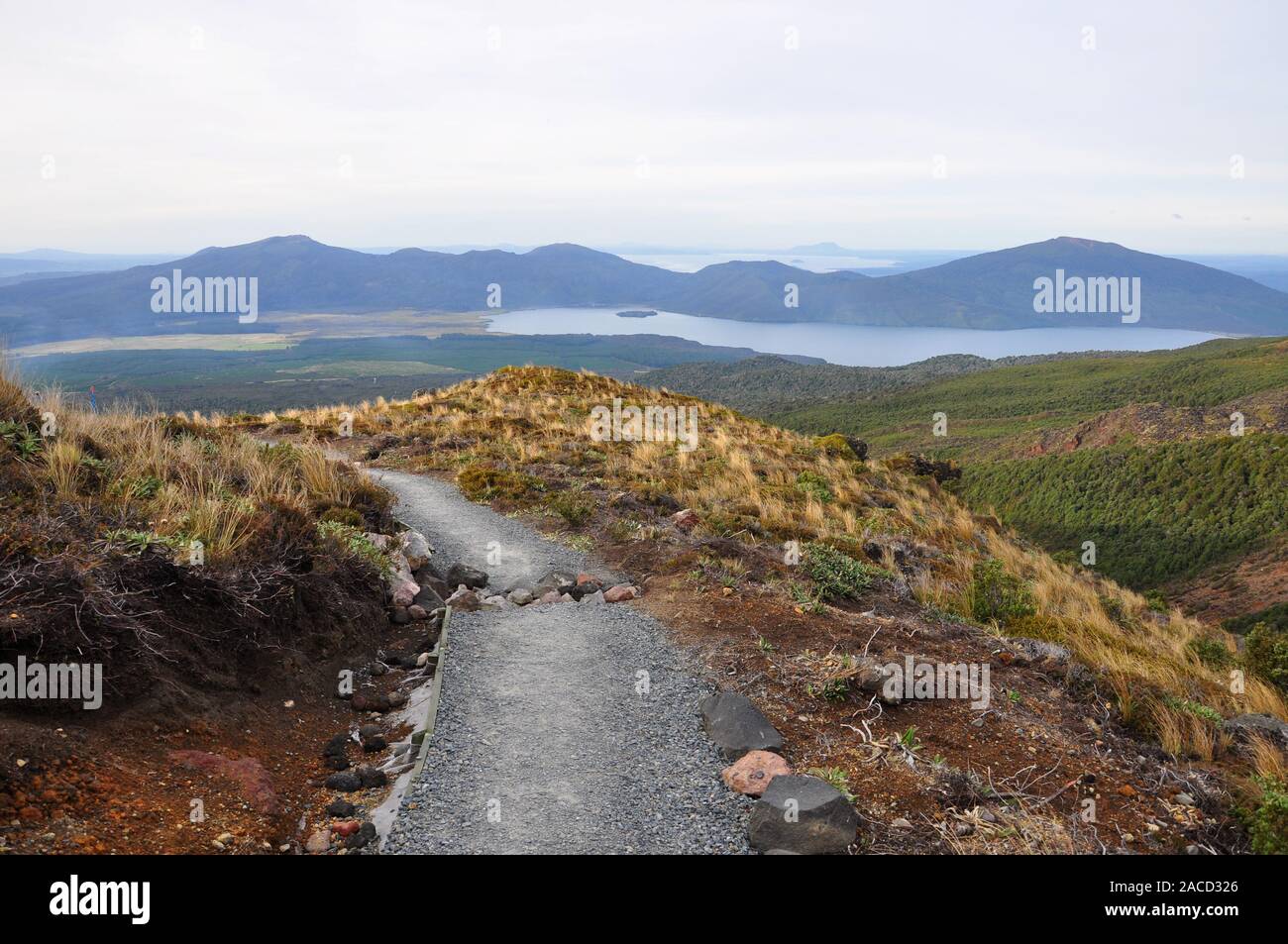 Hikind et chemin paysage volcanique à Tongariro Alpine Crossing, North Island, New Zealand. Banque D'Images