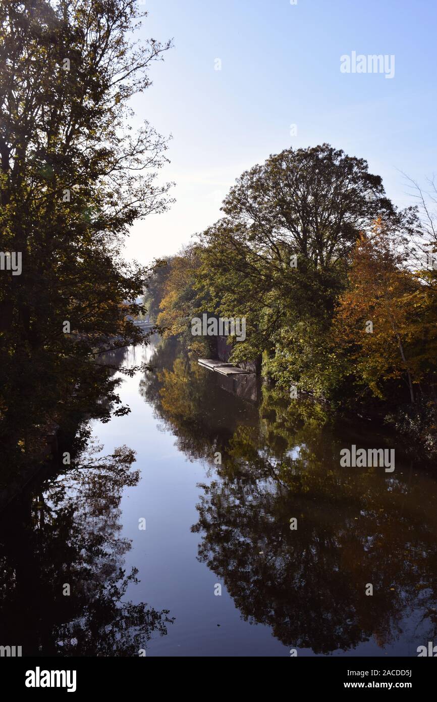 Couleurs d'automne, la rivière Wensum, Norwich UK Novembre 2019 Banque D'Images