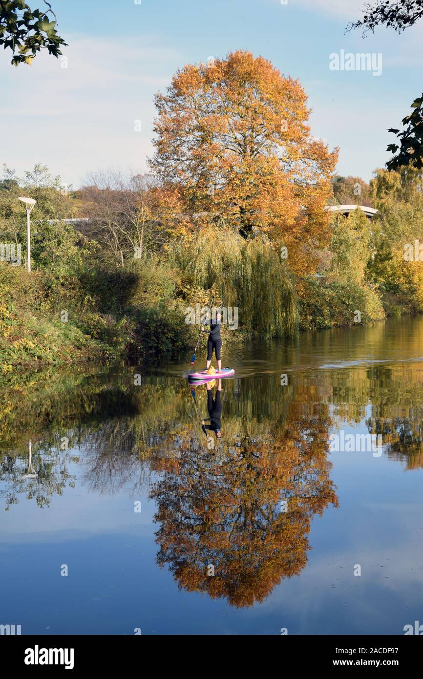 Femme paddleboarding sur la rivière Wensum, Norwich UK Novembre 2019 Banque D'Images