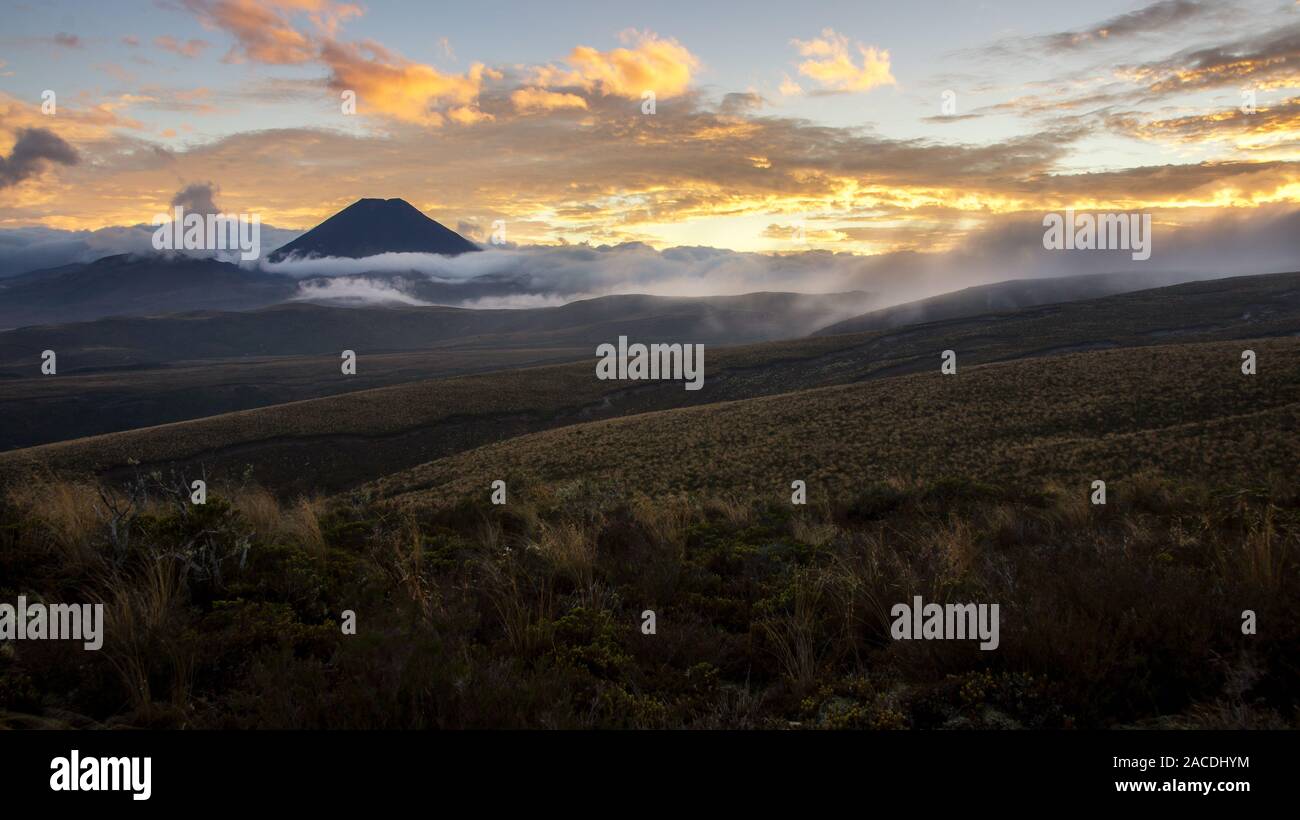 Lever de soleil sur l''Monter' dans le Parc National de Tongariro, Nouvelle-Zélande Banque D'Images