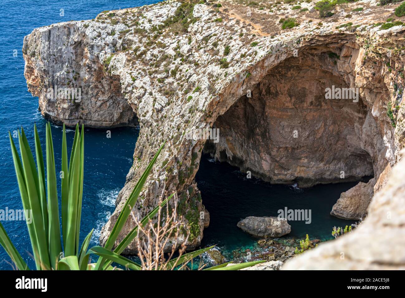 Voûte en pierre naturelle de la Grotte Bleue et la mer caverns à Malte, avec agave en premier plan. Grotte Bleue paysage marin. Banque D'Images