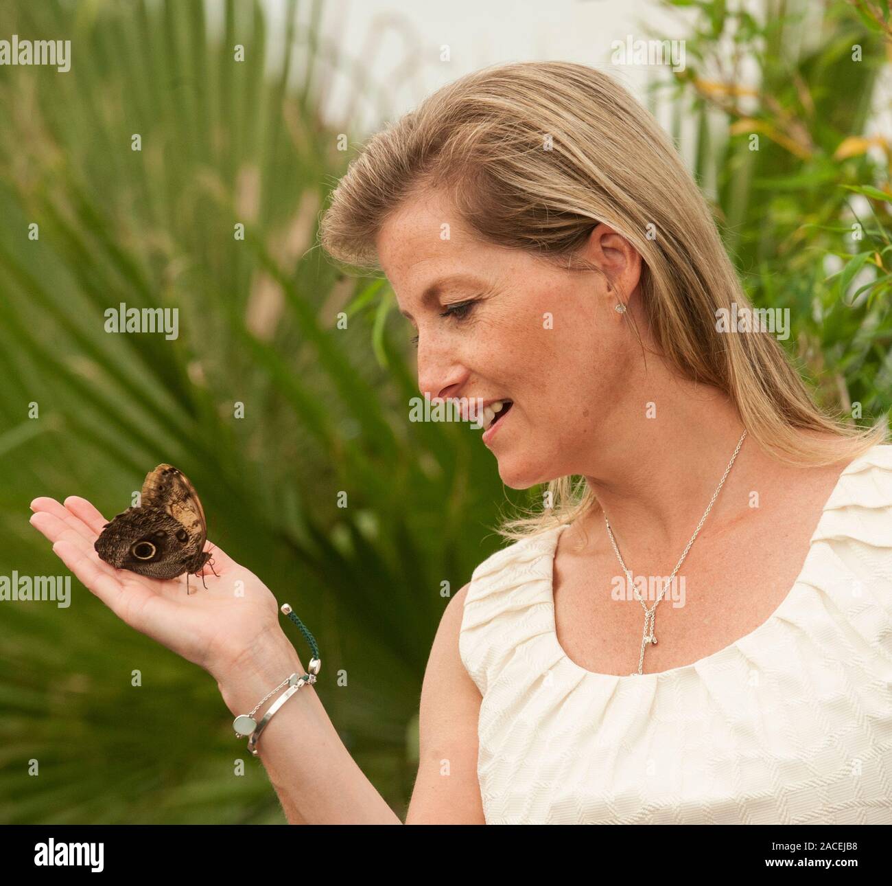 Sophie comtesse de Wessex au butterfly dome dans le patrimoine végétal chapiteau au Hampton Court Flower Show en 2013. Banque D'Images