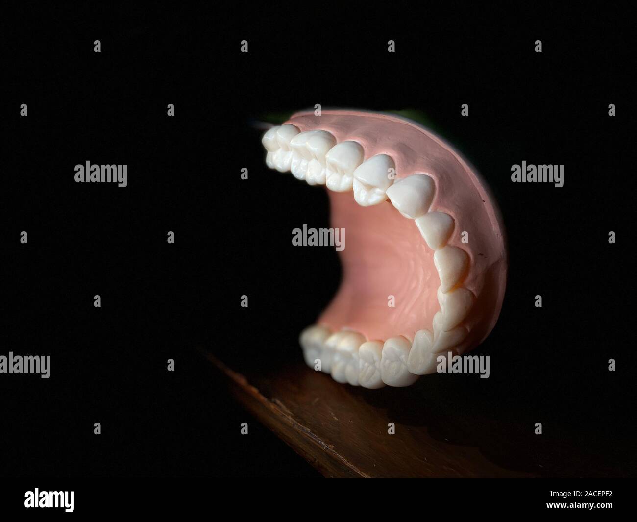 Vintage modèle dentaire bouche trouvés chez Midland Arts et marché d'Antiquités Banque D'Images