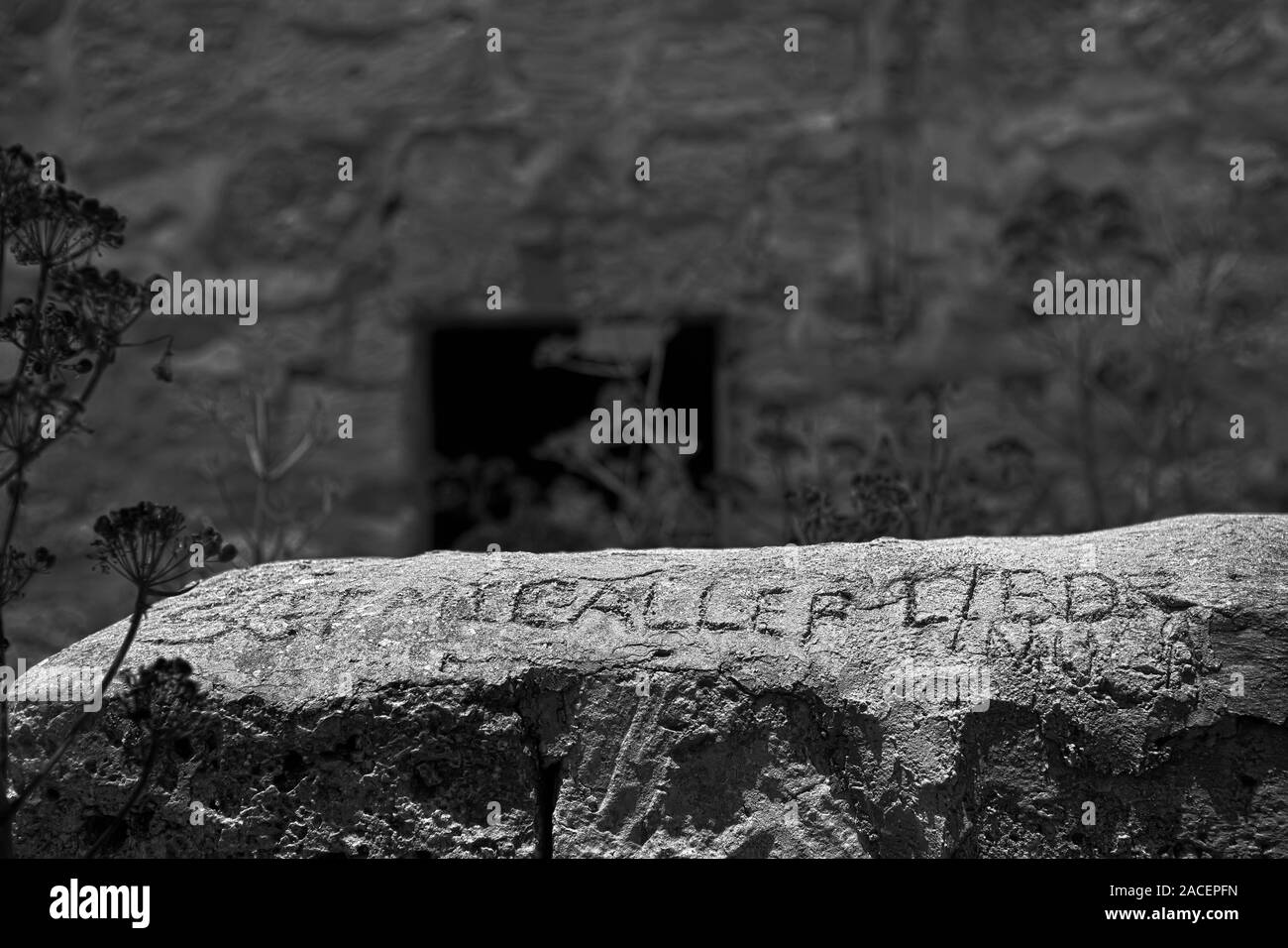 Cette inscription intemporelle a été faite par le Sgt. Micallef et Brigade Lieutenant Mula à la caserne abandonnée maintenant sur la petite île de Comino à Malte. Banque D'Images