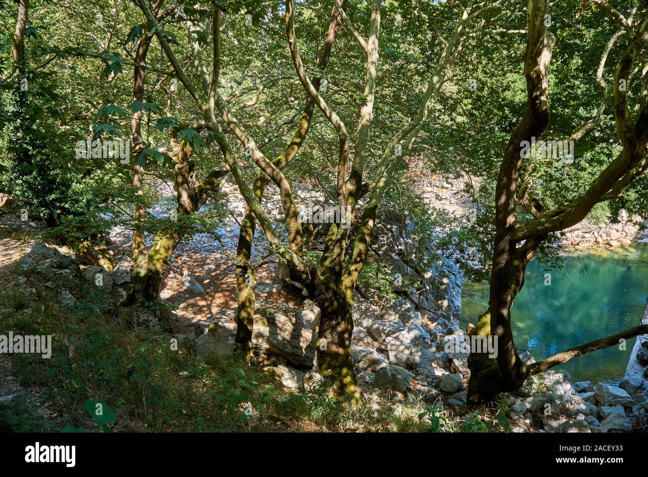 De beaux paysages à Pyli Trikalon, les météores en Thessalie, Grèce. Le pont d'Agios Vissarionas est situé au milieu d'un paysage remarquable. Banque D'Images