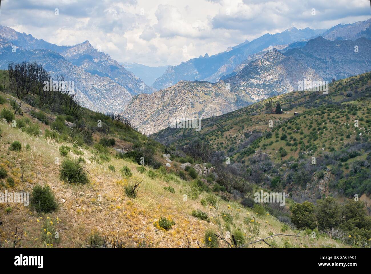 Scenic hills à Sequoia National Forest,California,USA Banque D'Images