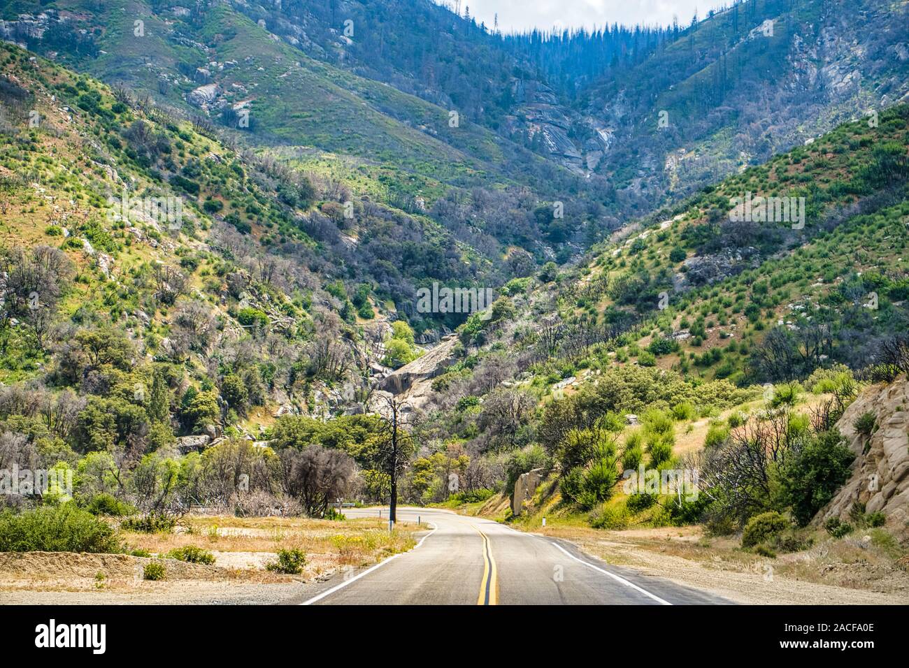 Route dans la vallée de Sequoia National Forest,California,USA Banque D'Images