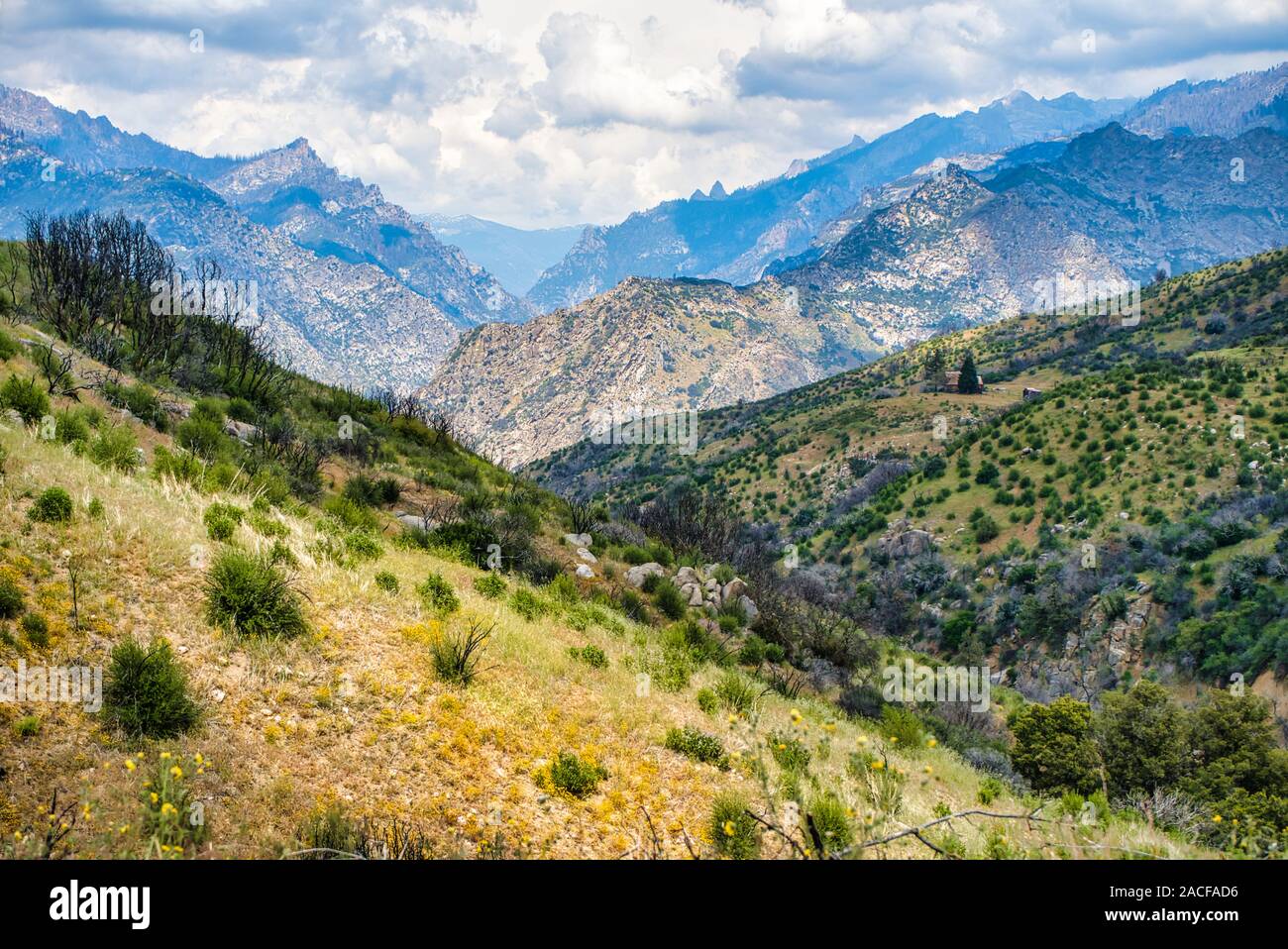 Scenic hills à Sequoia National Forest,California,USA Banque D'Images
