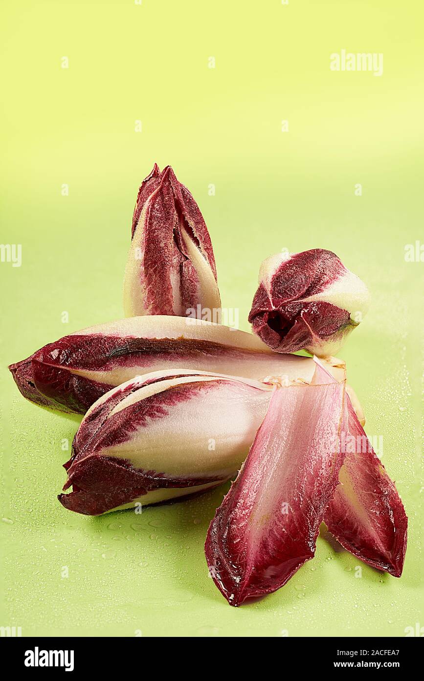 Endives rouge belge witloof ou isolé sur fond vert Banque D'Images