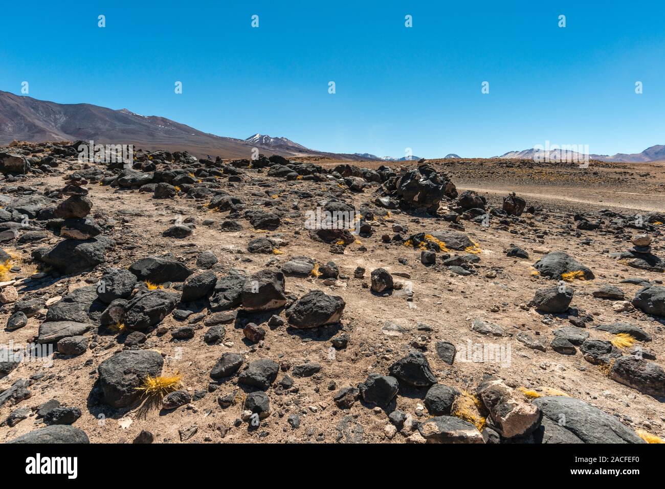 Sur les rives de la Laguna Blanca, Reserva National de la faune andine Eduardo Avaroa, Département de Potosí, au sud-ouest de la Bolivie, de l'Amérique latine Banque D'Images