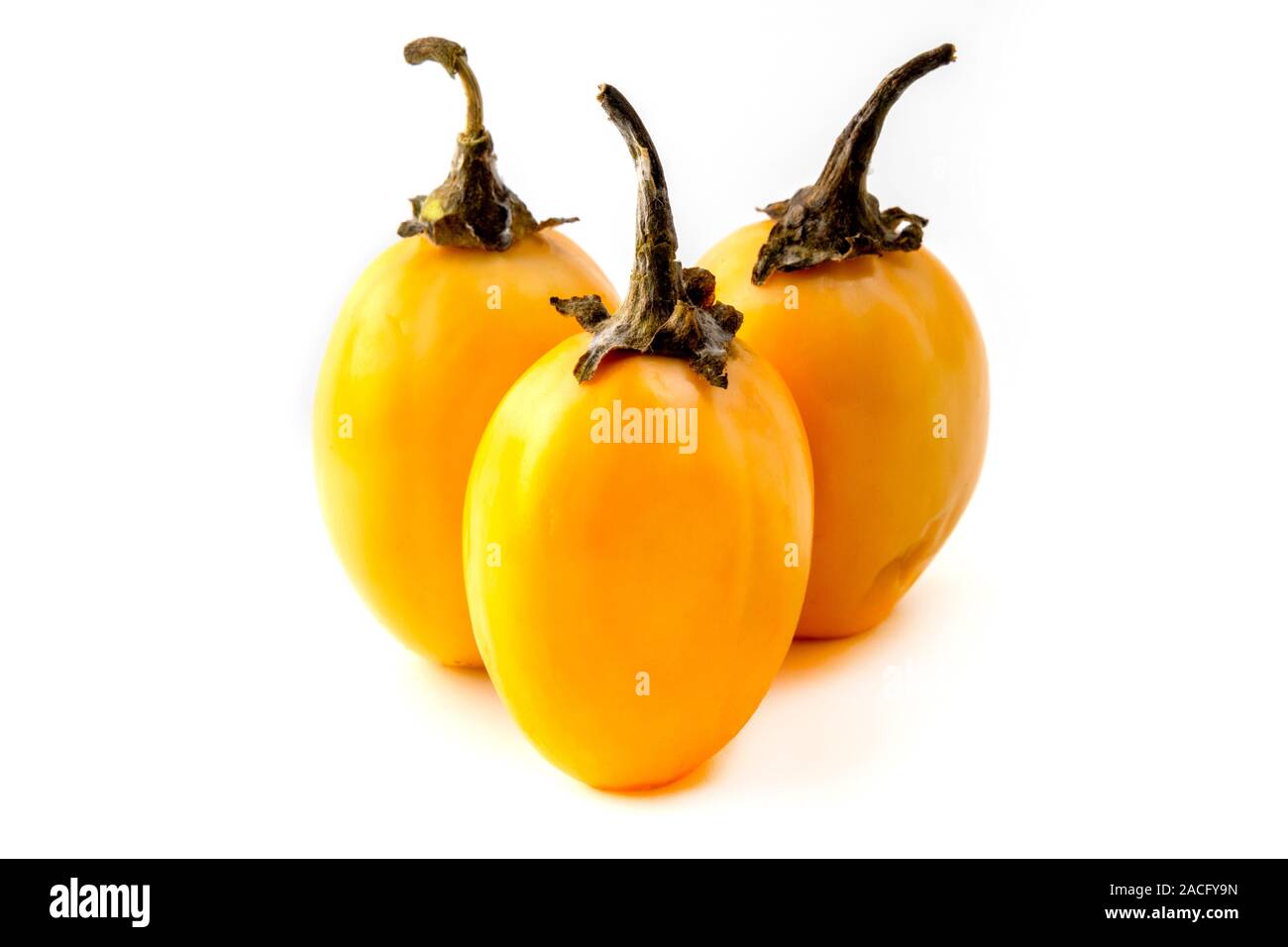 Aubergine africaine (Solanum macrocarpon) sur un fond blanc Banque D'Images