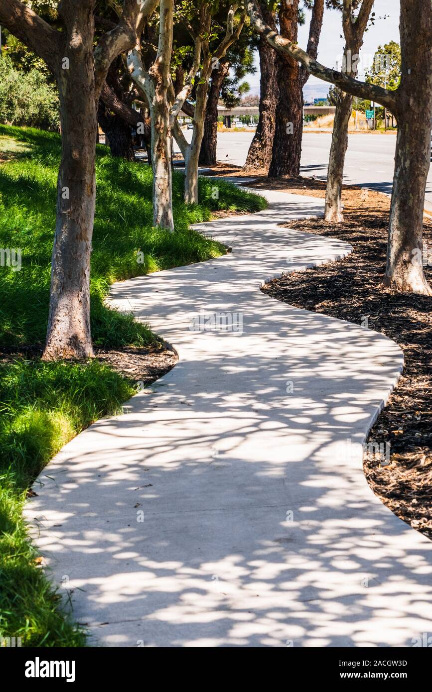 Trottoir sinueux alignés avec les arbres, l'exemple de l'aménagement du paysage urbain Banque D'Images