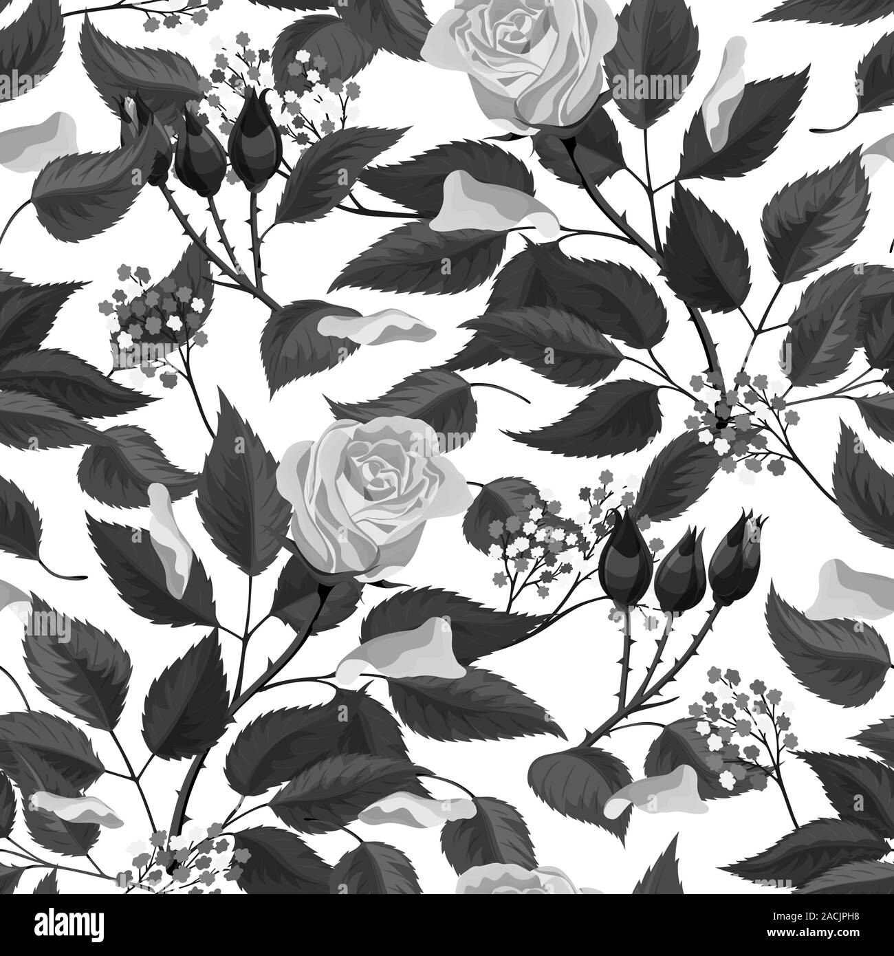 Beau noir et blanc motif transparent monochrome en roses avec les contours Illustration de Vecteur