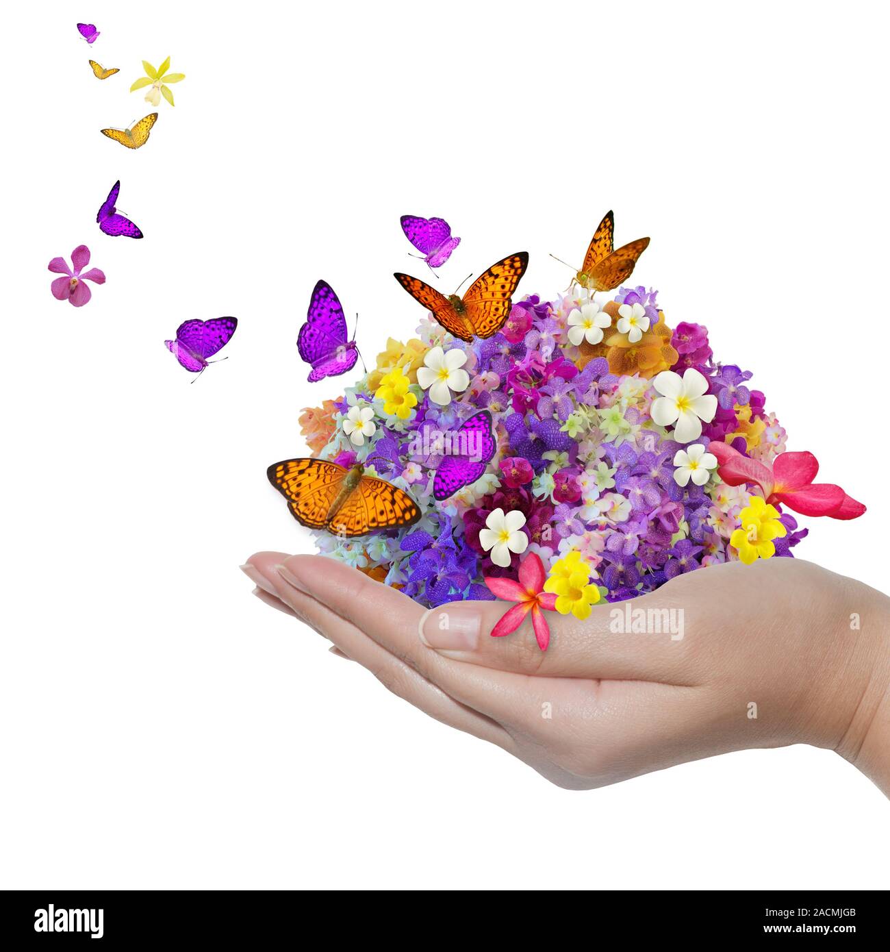 Mains courantes déversement de fleurs de Fleurs et papillon Banque D'Images
