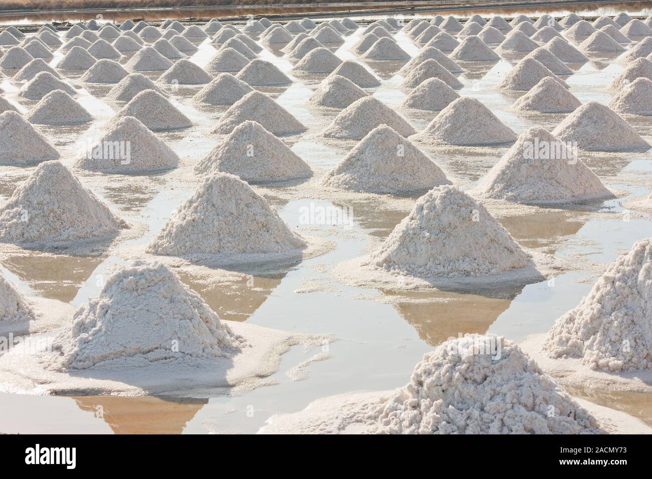 La texture du sel avec le fermier Banque D'Images