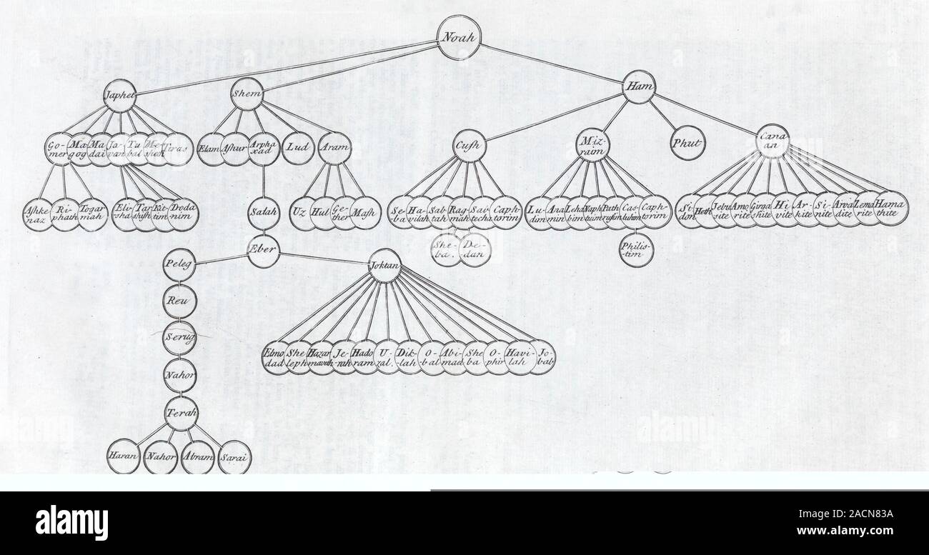 Arbre généalogique de la famille de Noé. 18e siècle représentation de l