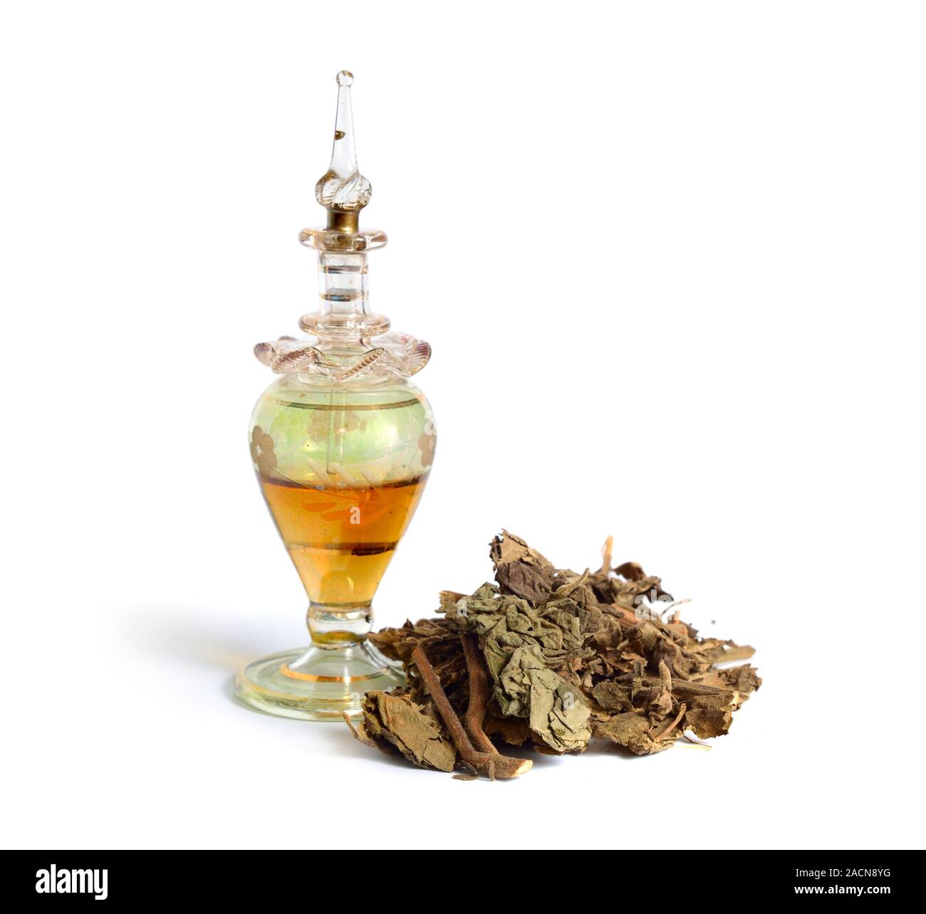 Pachouli avec des plantes séchées vintage flacon de parfum. Isolé sur fond blanc Banque D'Images