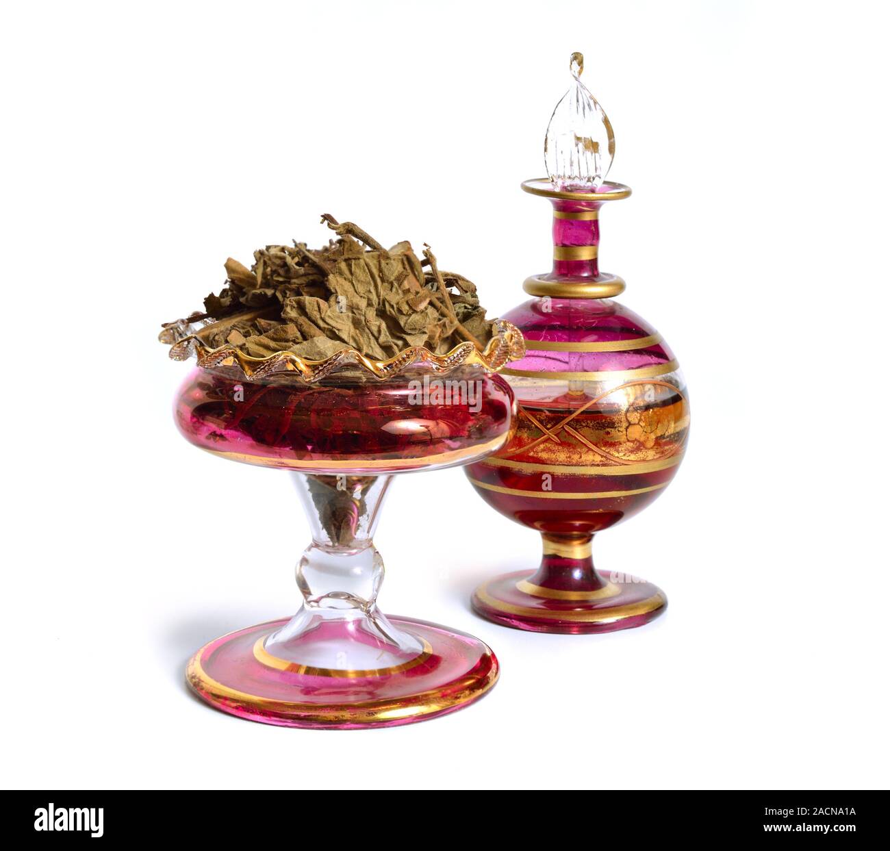 Pachouli avec des plantes séchées vintage flacon de parfum. Isolé sur fond blanc Banque D'Images