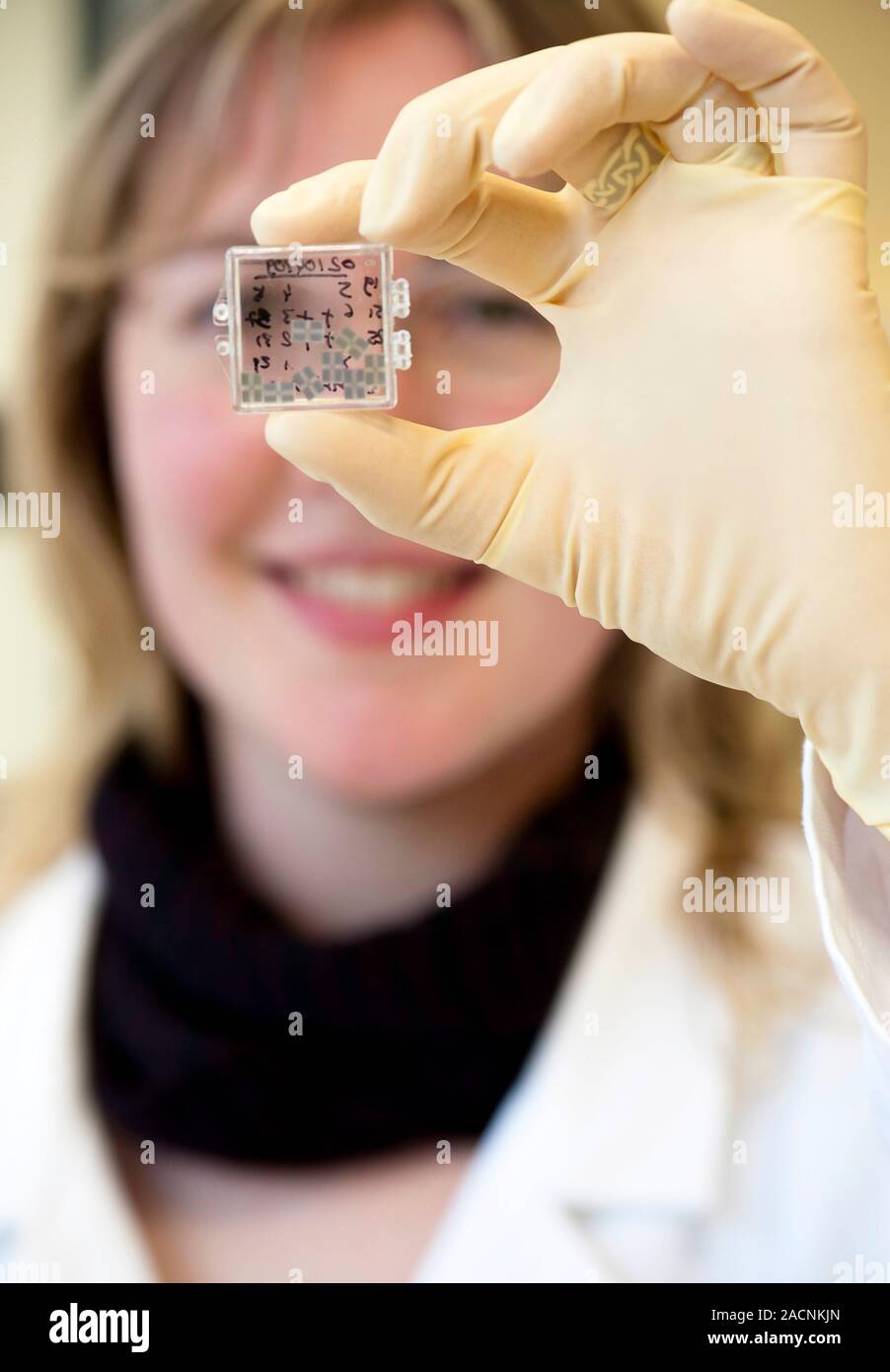 Capteur électrochimique de la production. Technician holding une boîte de  capteurs chimiques utilisés dans la fabrication de microsystèmes  électrochimiques destinés à b Photo Stock - Alamy