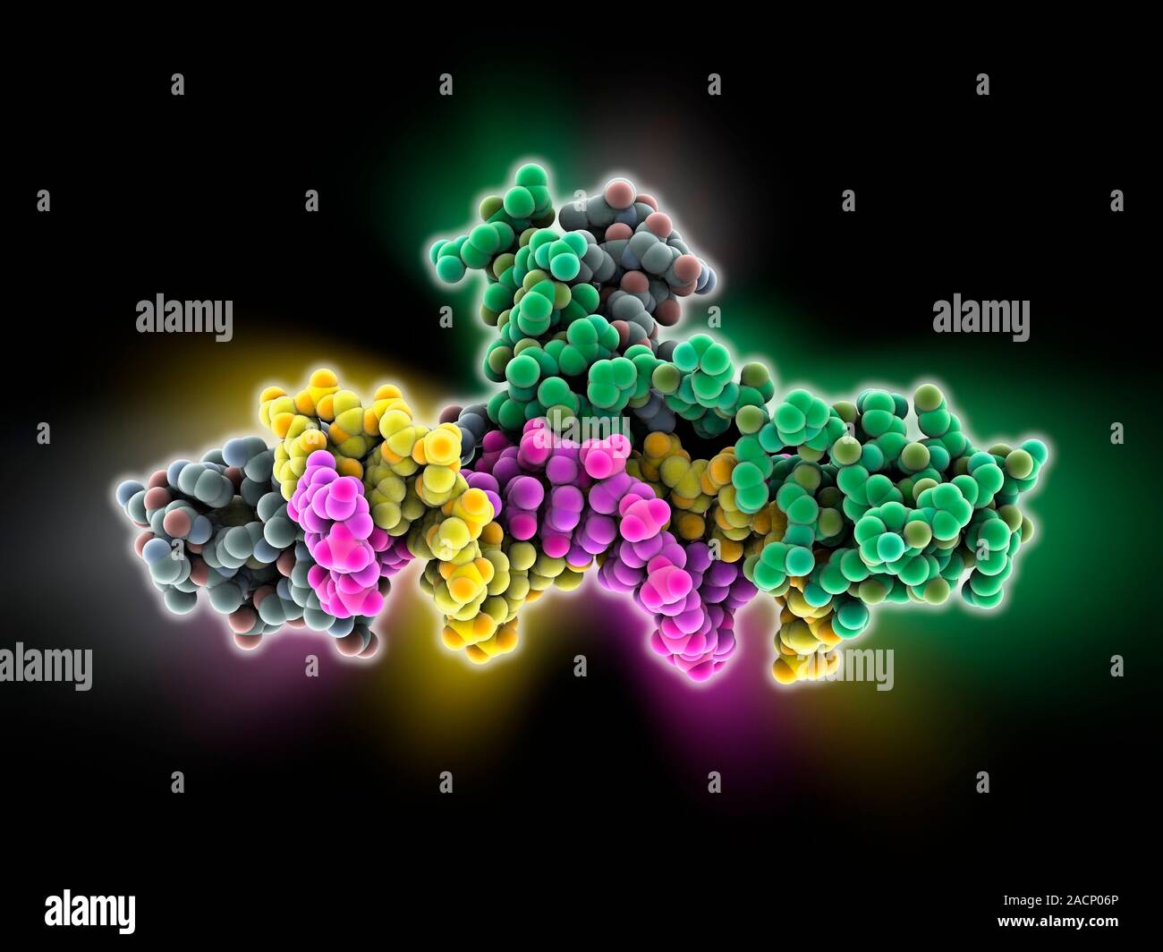 La reconnaissance de l'ADN de levure. Modèle d'ordinateur montrant un activateur de transcription Gal4 lié aux protéines d'une levure d'ADN (acide désoxyribonucléique) molécule (jaune et Banque D'Images
