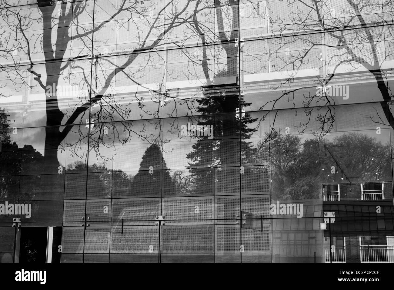 Reflet dans la fenêtre de la nouvelle partie de l'ancien jardin botanique à Utrecht Banque D'Images