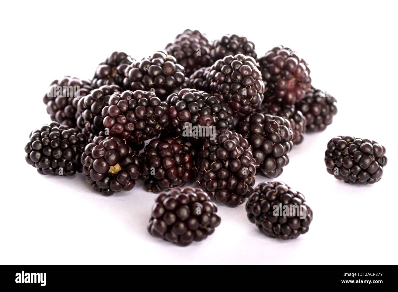 Les blackberries on white Banque D'Images