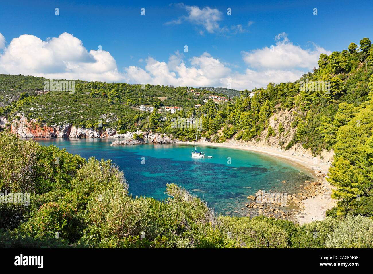La plage de Stafylos Skopelos, Grèce Banque D'Images