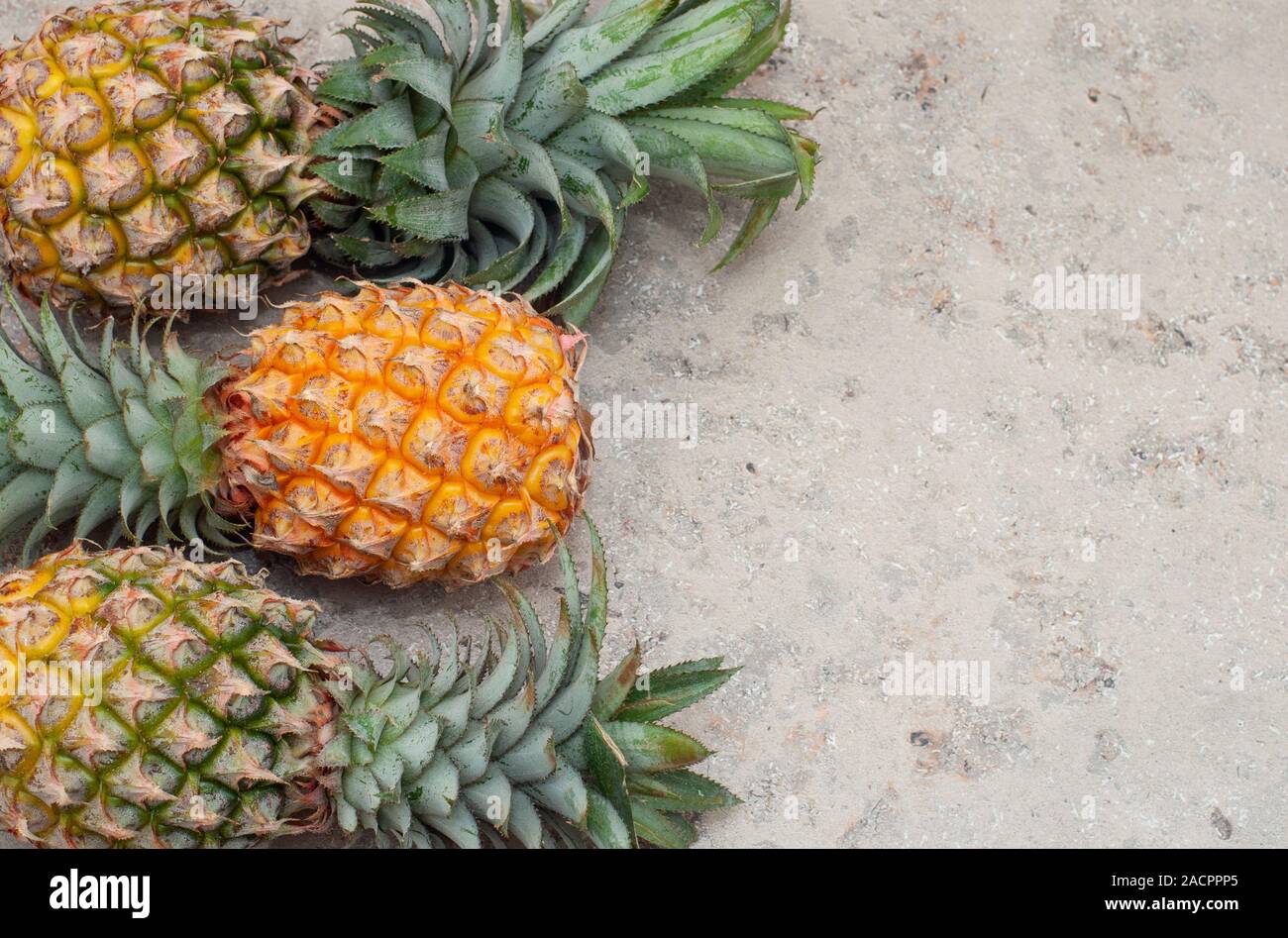 Ananas mini jaune sur fond gris. L'ananas de la Thaïlande. Orientation horizontale. Place pour le texte. Copy space Banque D'Images